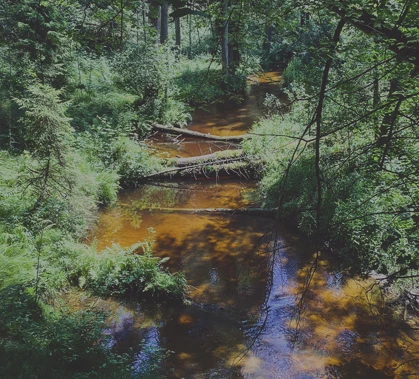 SZKOLENIE SERE 