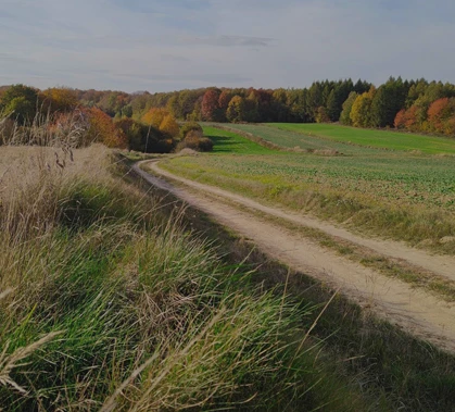 Mikrowyprawy. Roztocze i Puszcza Solska 