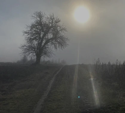 Podstawy survivalu i NOC w LESIE 